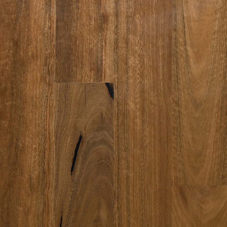 MB Spotted Gum