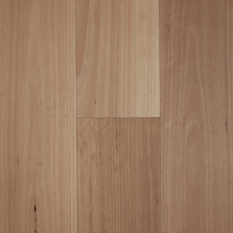 Blackbutt