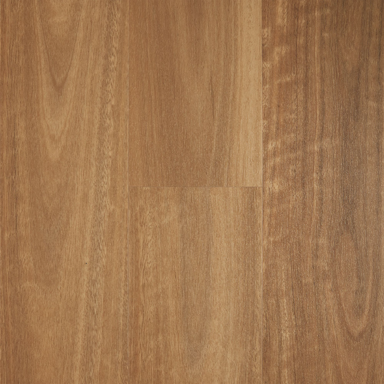 Natural Spotted Gum
