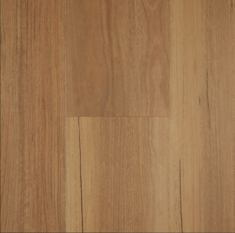 Classic Spotted Gum